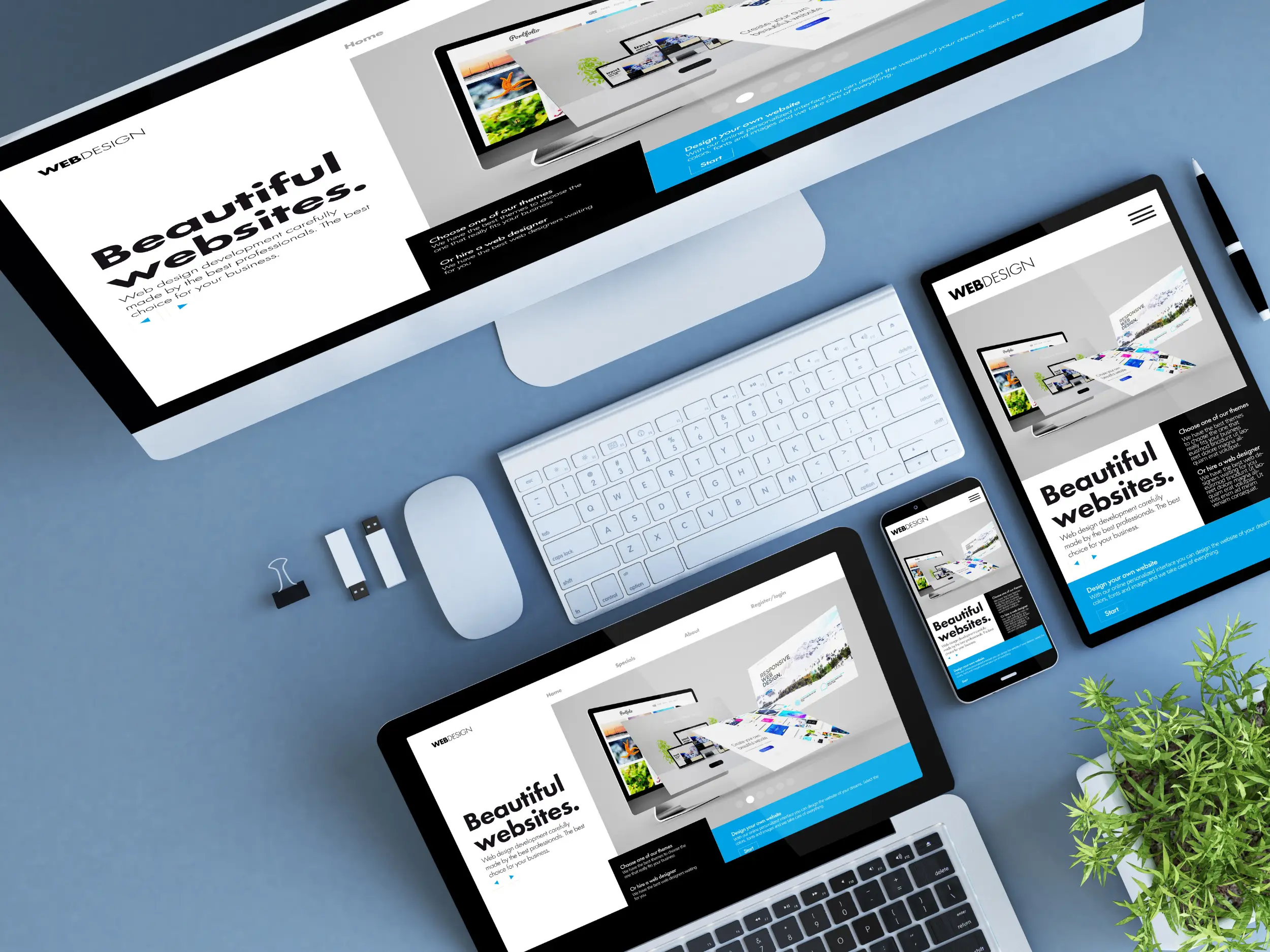 Webentwicklung & SEO